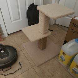 Cat Post 