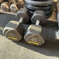 45lbs Dumbbells - Weights - Gym Equipment - Workout