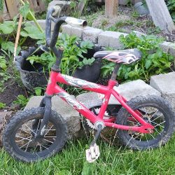X-Small Bike