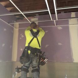 Carpenter Wood Works Paint