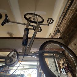 2011 PK Ripper anniversary Series 