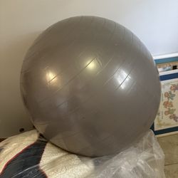 Exercise Ball 