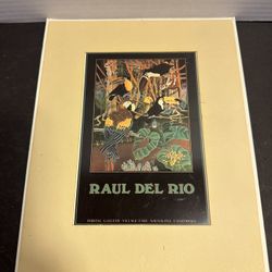 Vtg 1984 Raul Del Rio Birds Litho Print Portal Publications Matted Art 8x10
