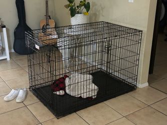 Large pet cage