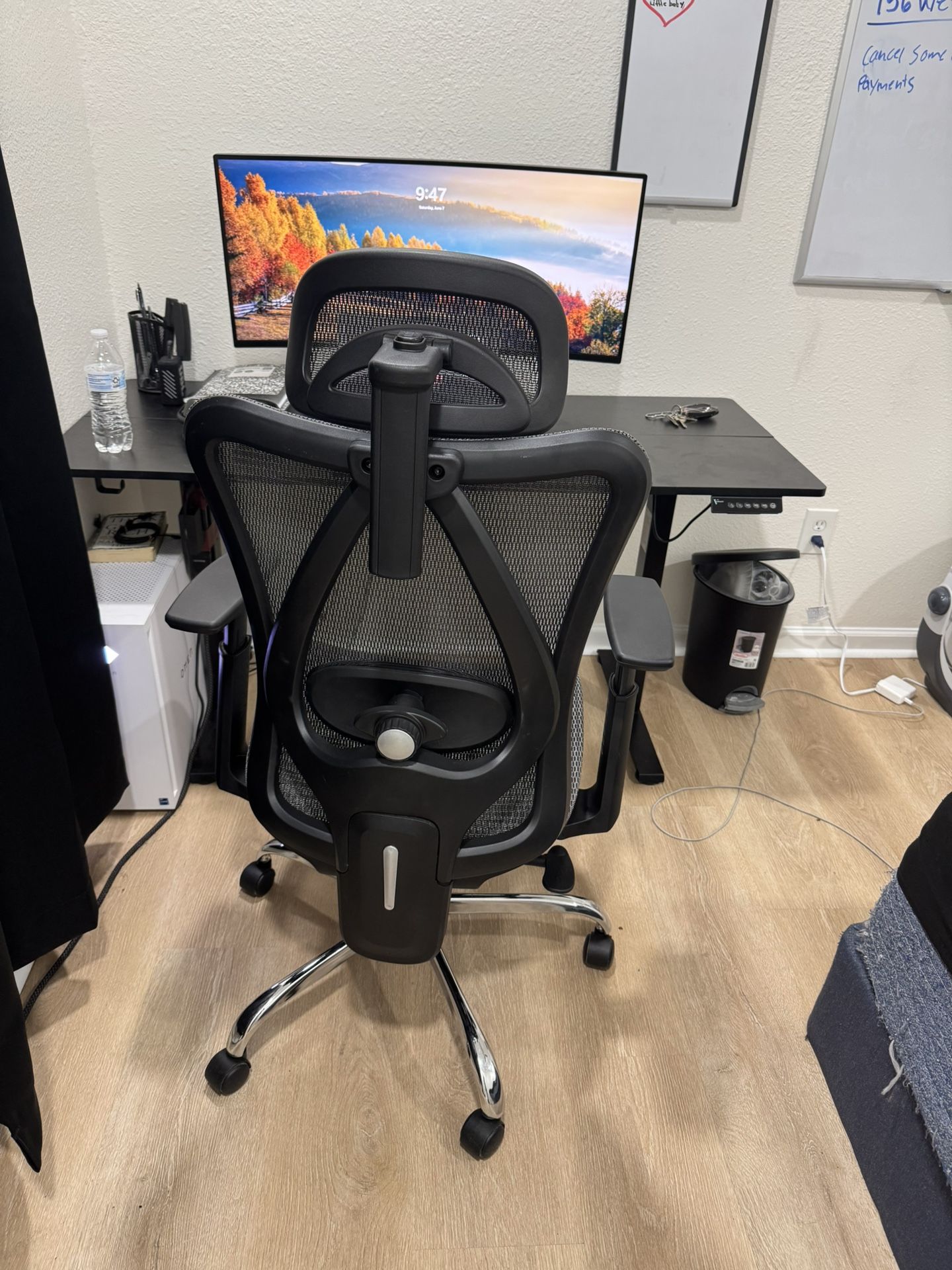 Ergonomic Chair