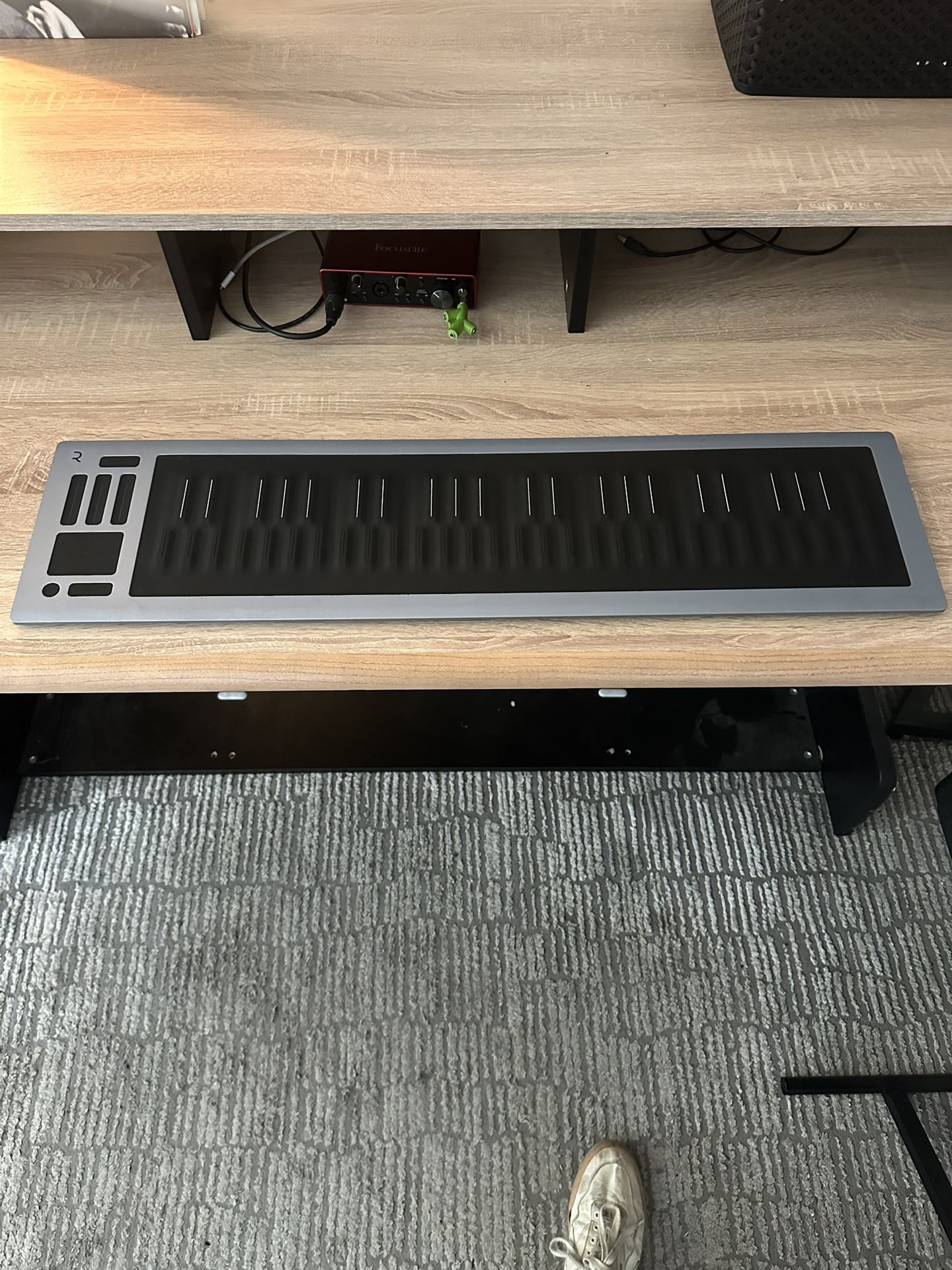 ROLI Seaboard RISE 2 2022 – 49-Key MPE Synth (Mint)