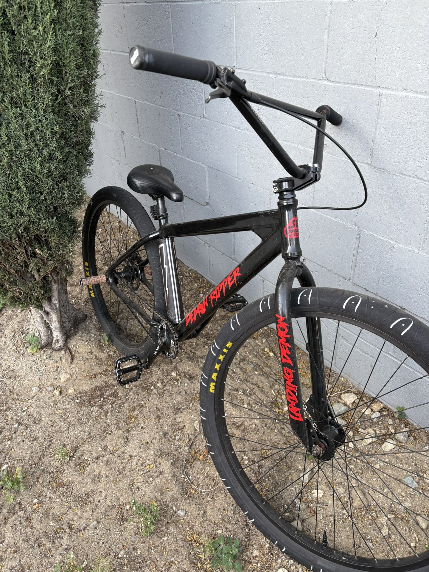 SE Custom Dub ripper maxxed out 29in