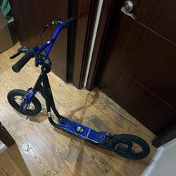 Off-road/on-road Scooter