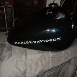1999 Harley-Davidson Softail/nightrain