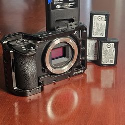 Sony a6500 Mirrorless Camera with Cage