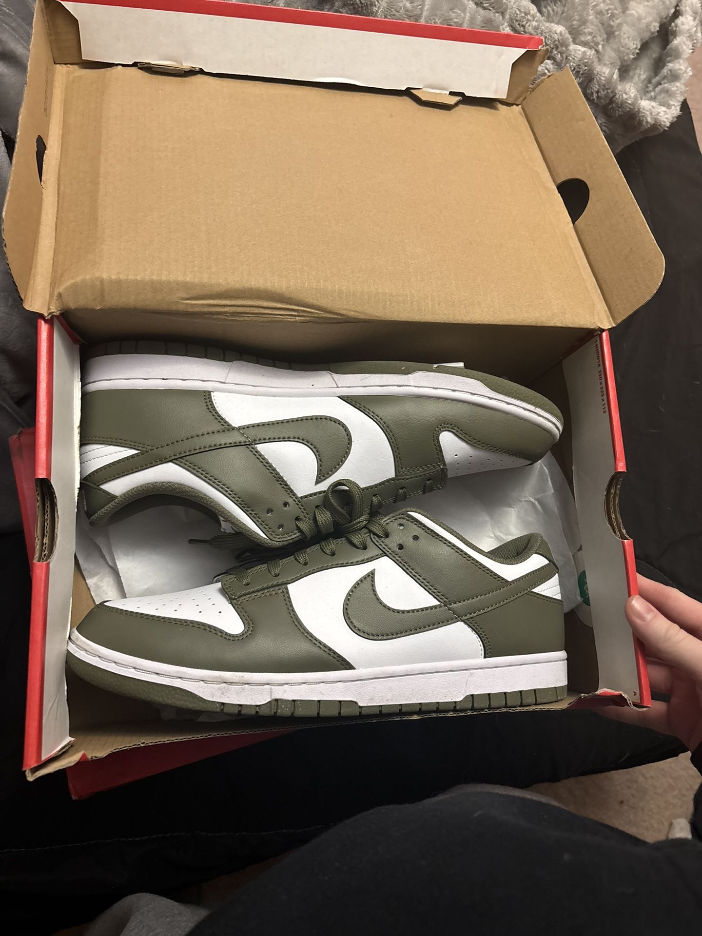 Size 11 Nike Dunk