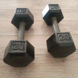 20 Lb Dumbbells