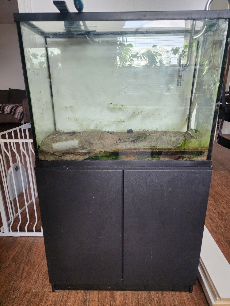 Fish Tank + Stand