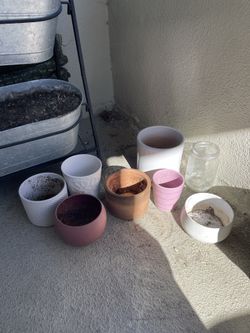 various Plant Pots