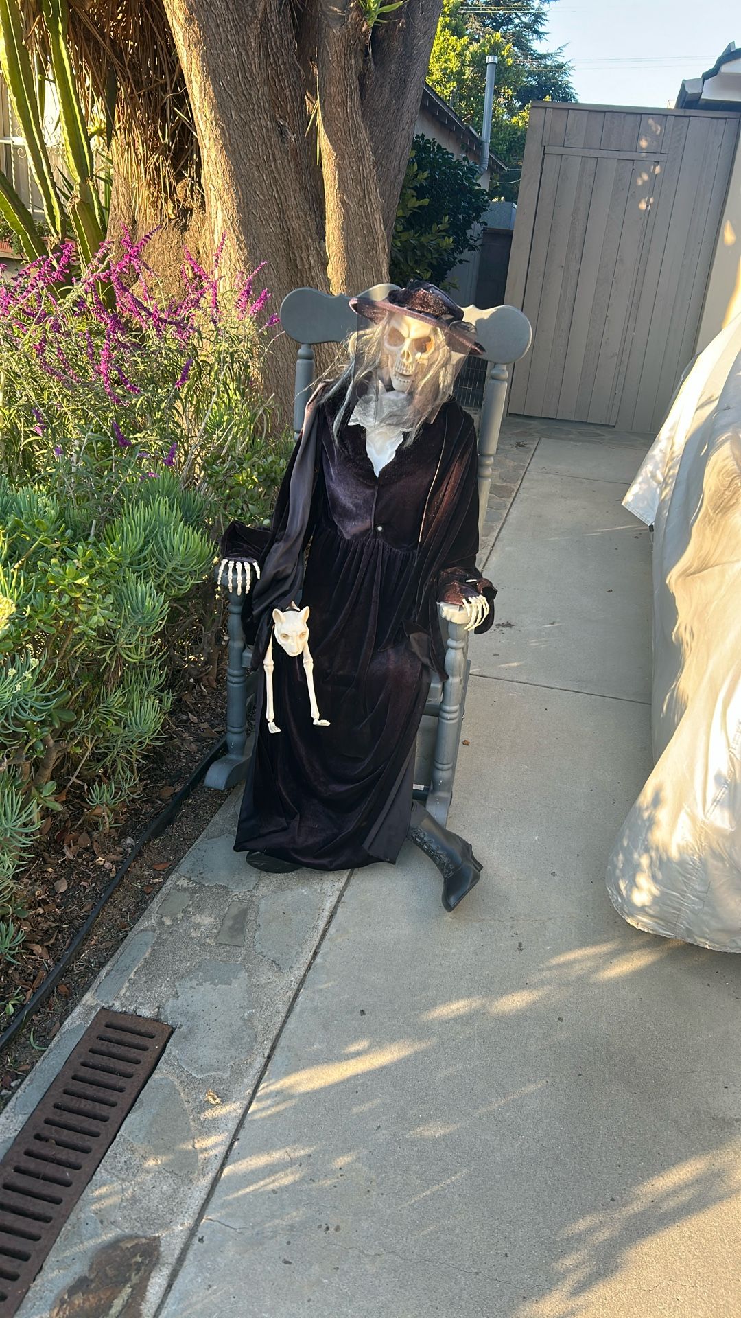 Witch In A Rocking Chair W Dog