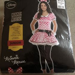 Minnie Mouse Costume 