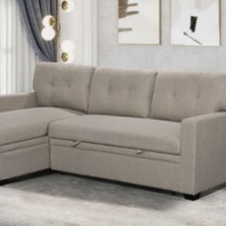 Sectional Sleeper 