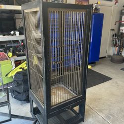Cages Reptiles Birds Hamster Mice