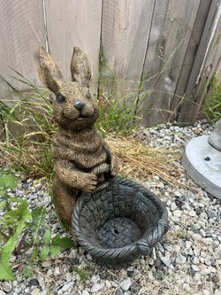 rabbit basket