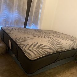 Queen & Twin Size Mattresses 
