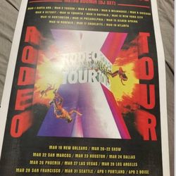 days before rodeo poster 913/2000 2015 RARE
