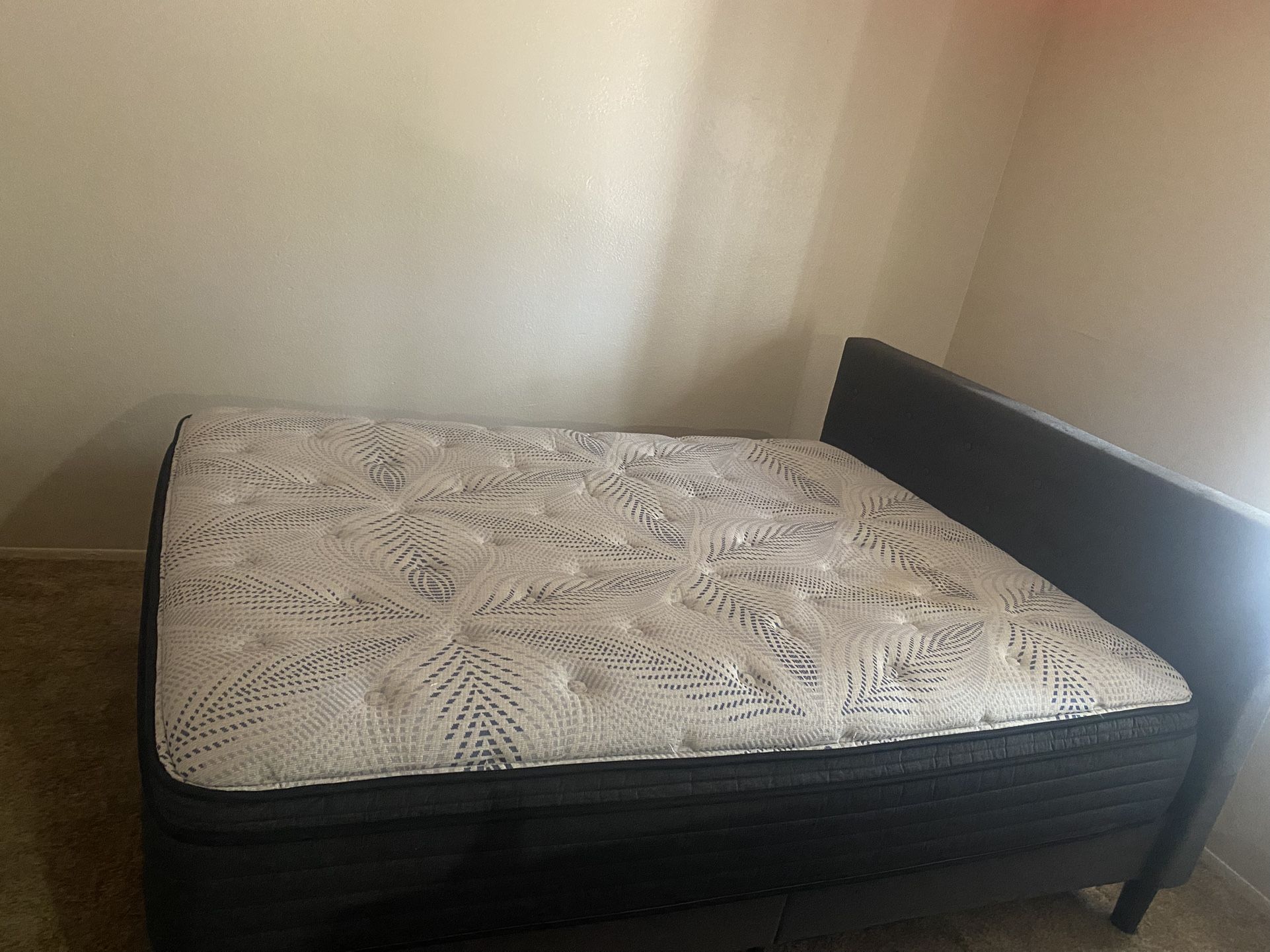 Queen Bed And Bed Frame