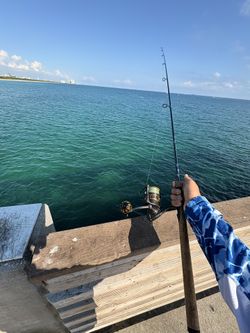 Penn Battle 4k On Bass Pro Graphite Rod(gomexus Knob