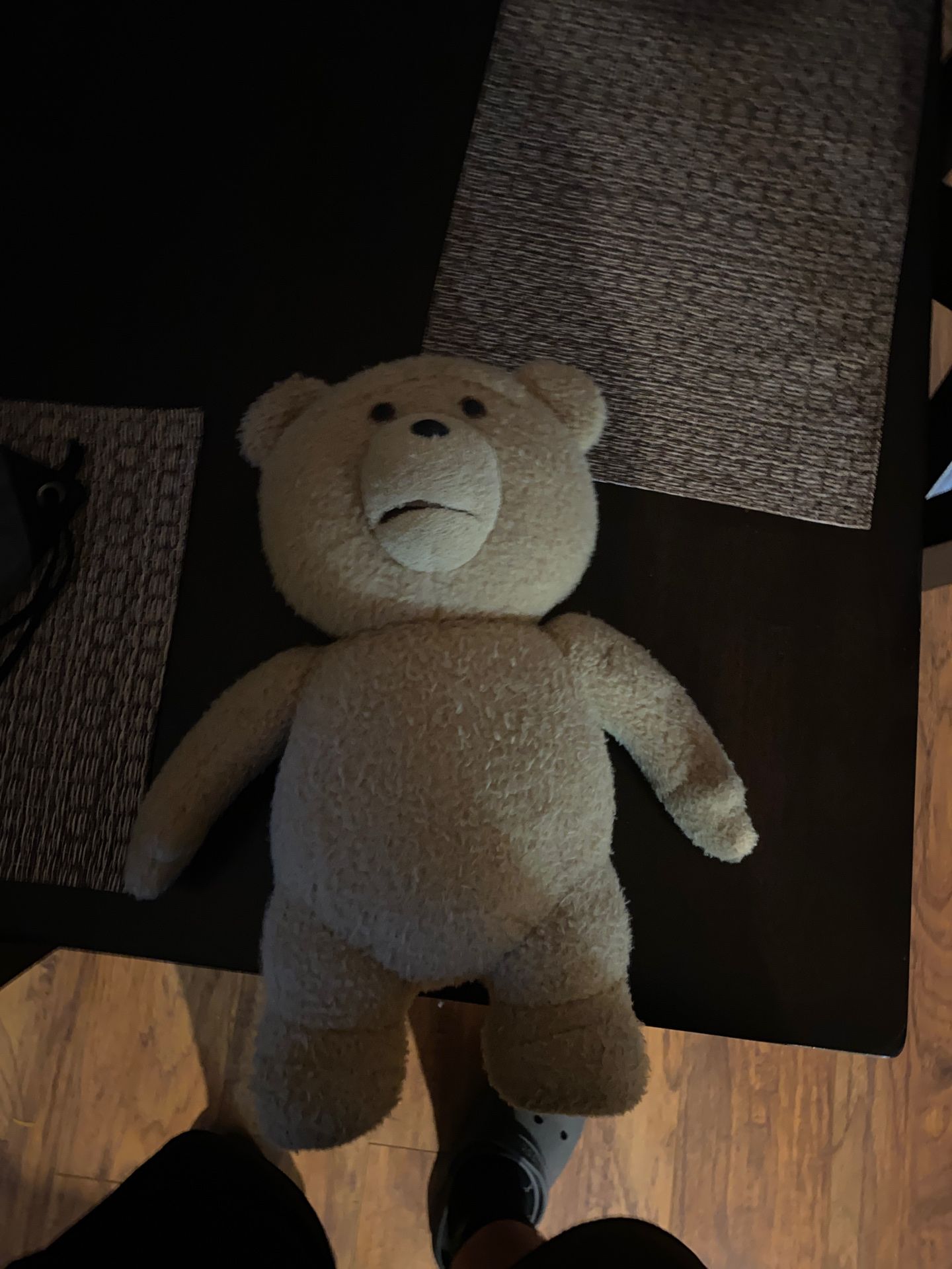 Ted the teddy bear