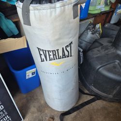 Everlast Hard Punch Bag