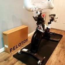 Peloton Bike + Best Offer