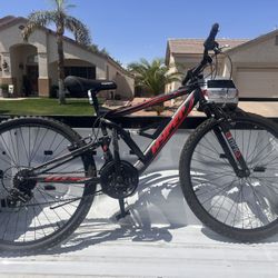 Adult bike