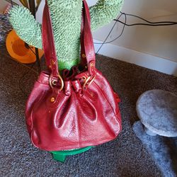 The Sak Red Leather Handbag