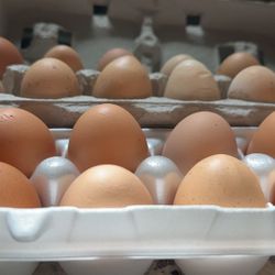 Huevos De Rancho/Fresh Eggs 