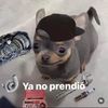 Jerry Sosa 