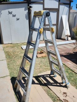 Gorilla ladder