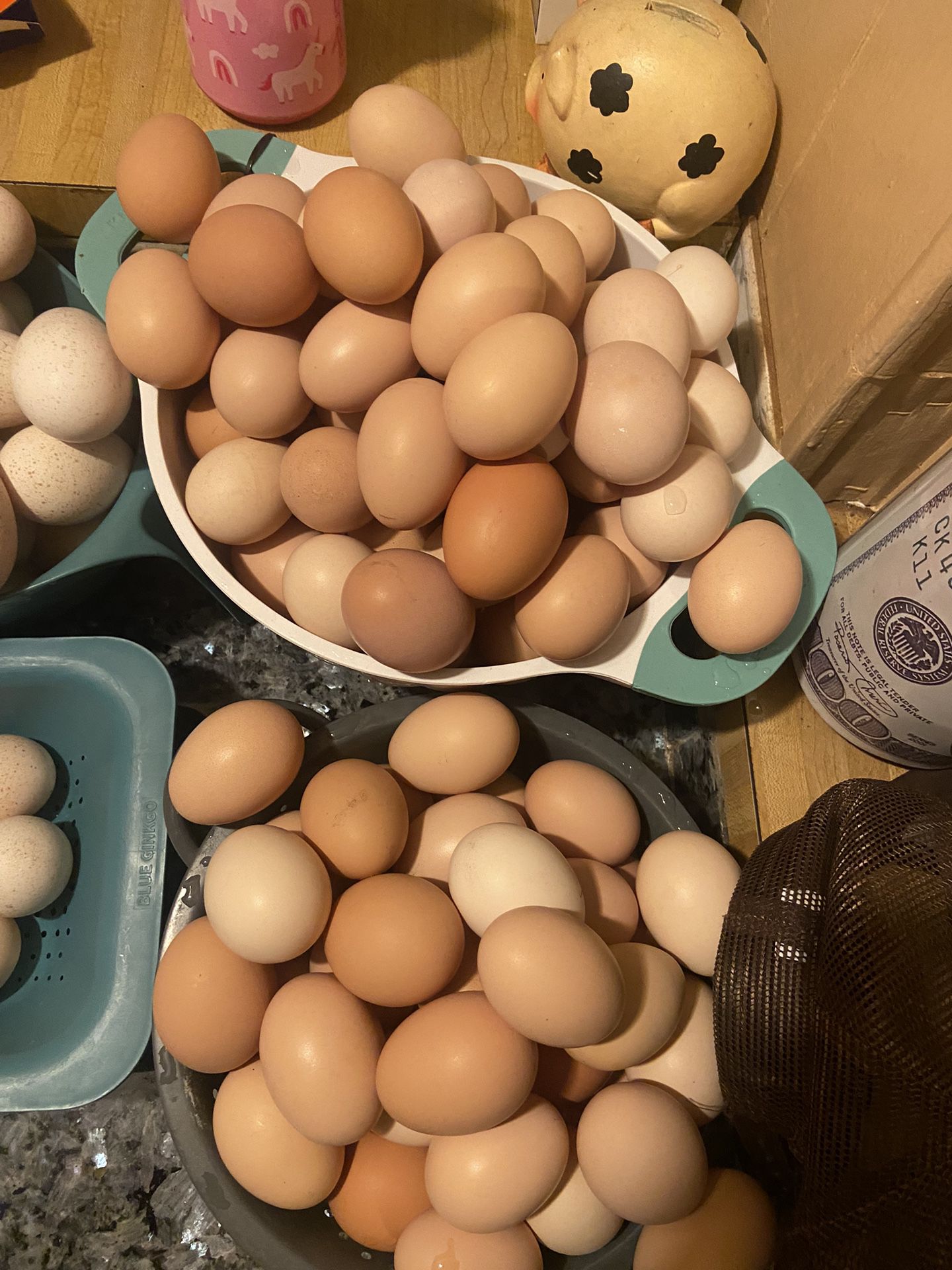 Daily Fresh Eggs 