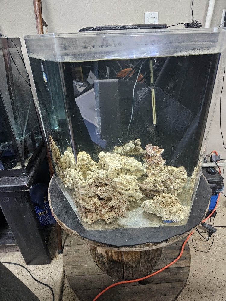55 Gallon Acrylic Hexagon Fish Tank