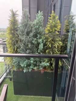 FREE!!!  2 planter boxes with topiary.