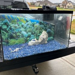 Fish Tank