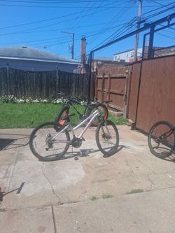 Bicicletas
