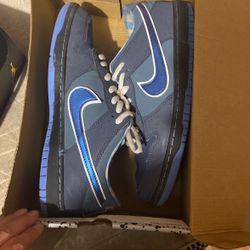 Nike Lobster Dunks Blue ( Normally Used On A Daily)