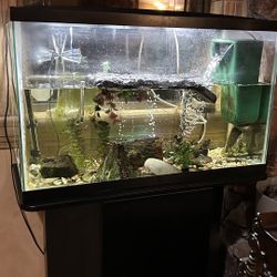 Aquarium