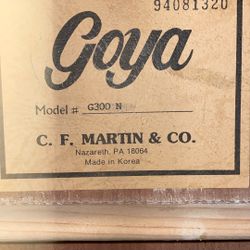 Goya G300N Acoustic Guitar