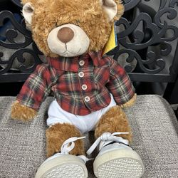 Build A Bear Teddy