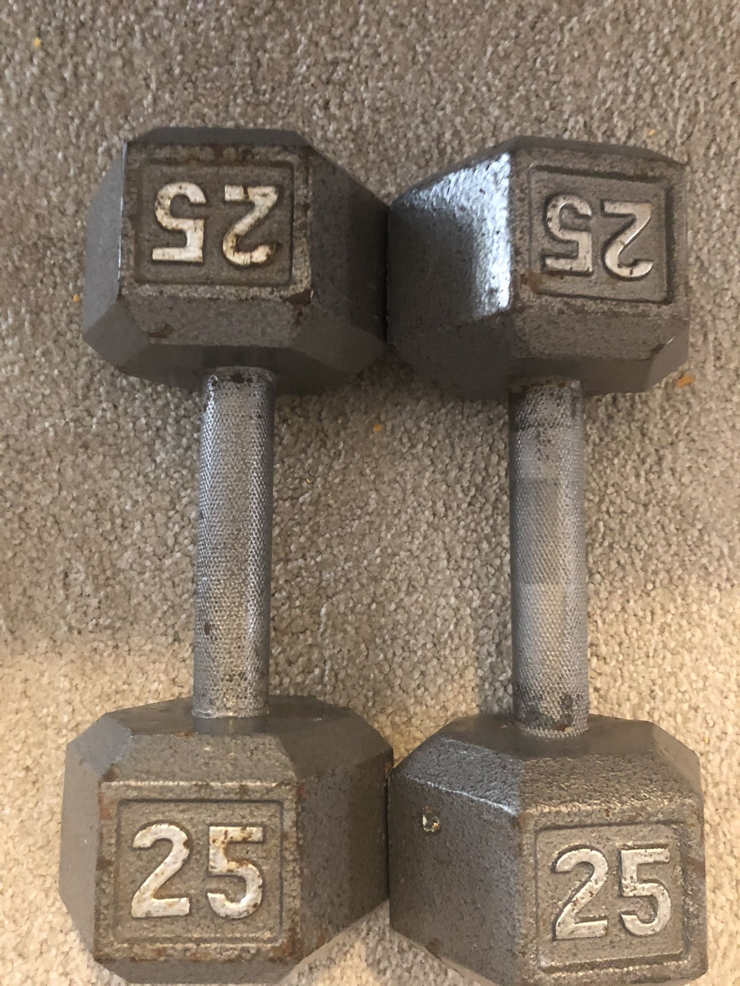 25 pound dumbbells