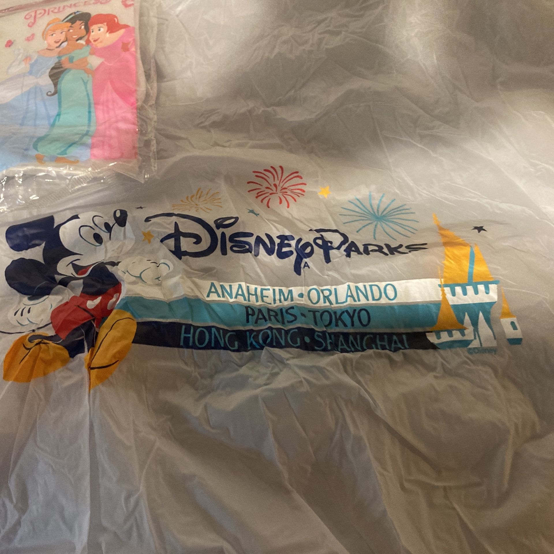 Disney Land Rain Ponchos