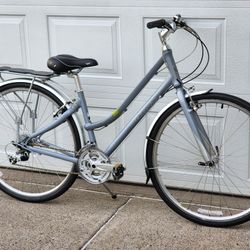 Giant Hybrid Bike 
