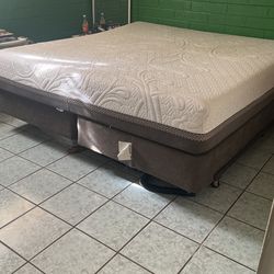 Bed Twin XL