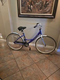 His and hers cruisers 26"