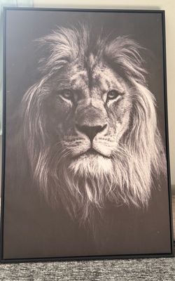 Beautiful black and white lion wall art with a black frame. Great statement piece for your living room, bedroom, or office.